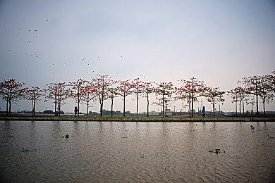 《星球大战：旧共和国武士》重制版概念图泄露！